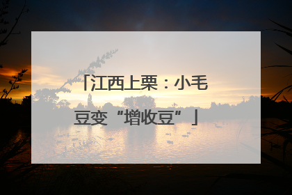 江西上栗：小毛豆变“增收豆”